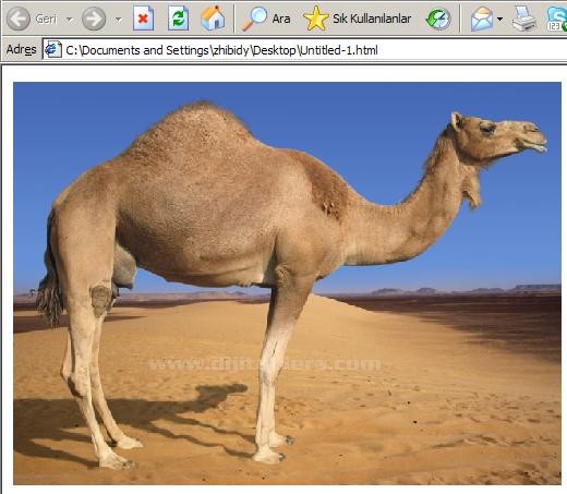 Dreamwever Yazılı sorusu