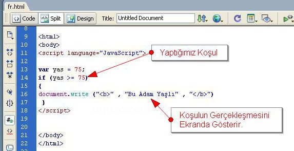 if, else if , Kısa karşılaştırma operat&ouml;r&uuml;