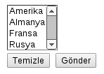 SELECT Tagı Nasıl Kullanılır?