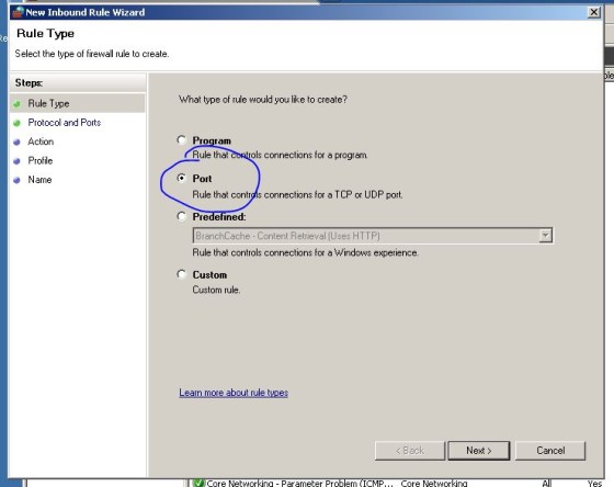 SQL Server?ı Uzaktan Bağlantı İçin Ayarlamak